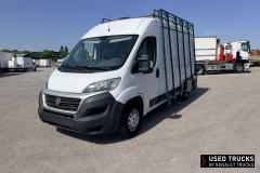 Fiat Ducato
                                          130